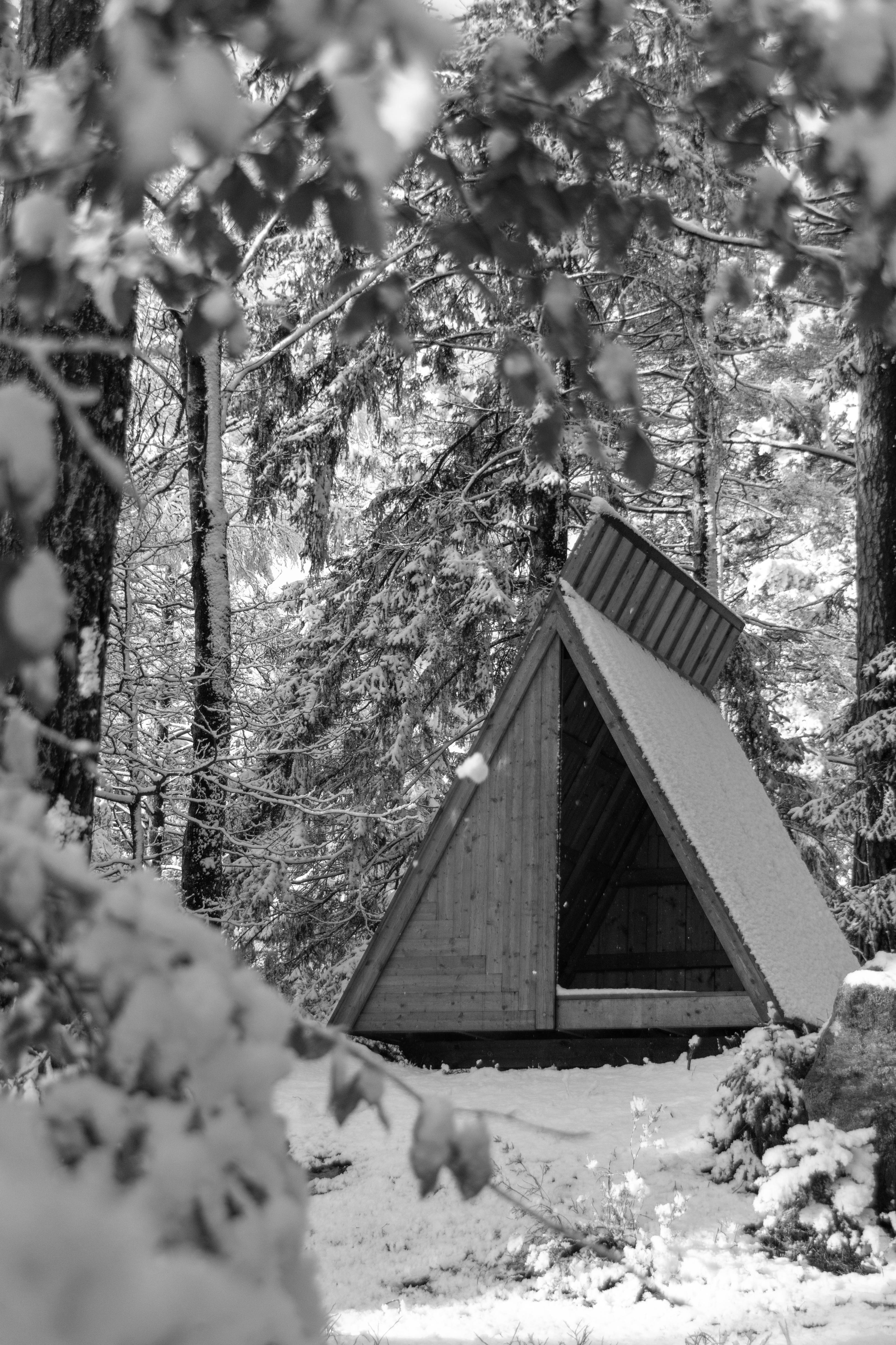 Träkonstruktion , Takdetalj